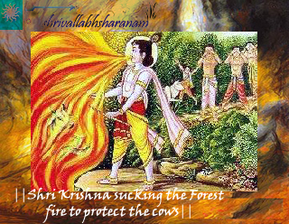 Krishna sucking wild fire to protect Cows & Calves